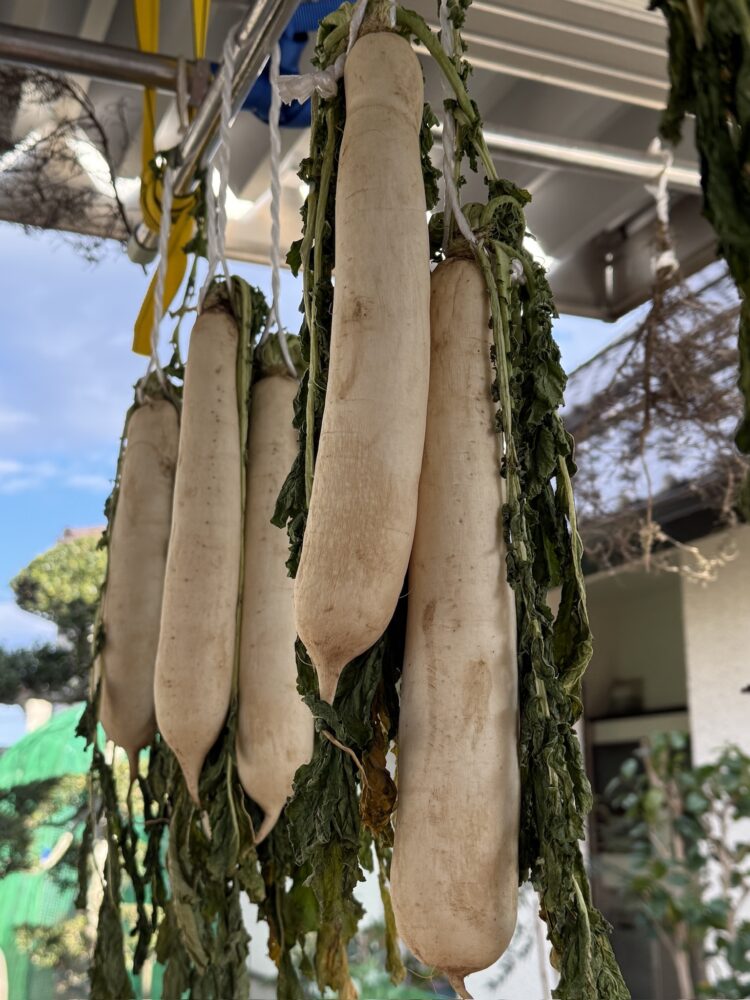 干し大根